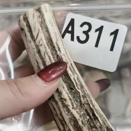 凡***者鹿角鹿角鹿角鹿角