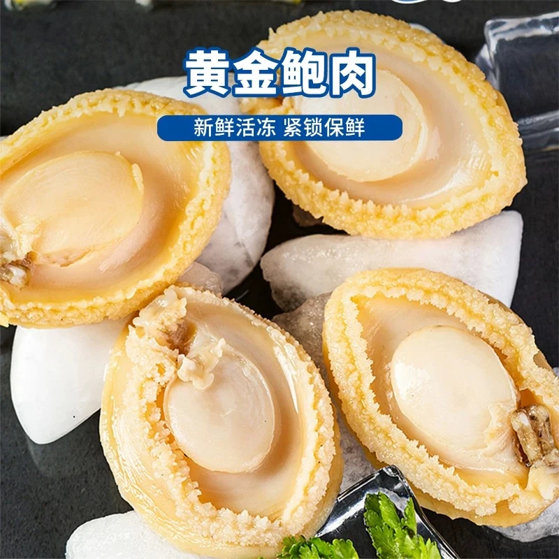 盐磨黄金鲍鱼肉 锁鲜 肉质爽滑