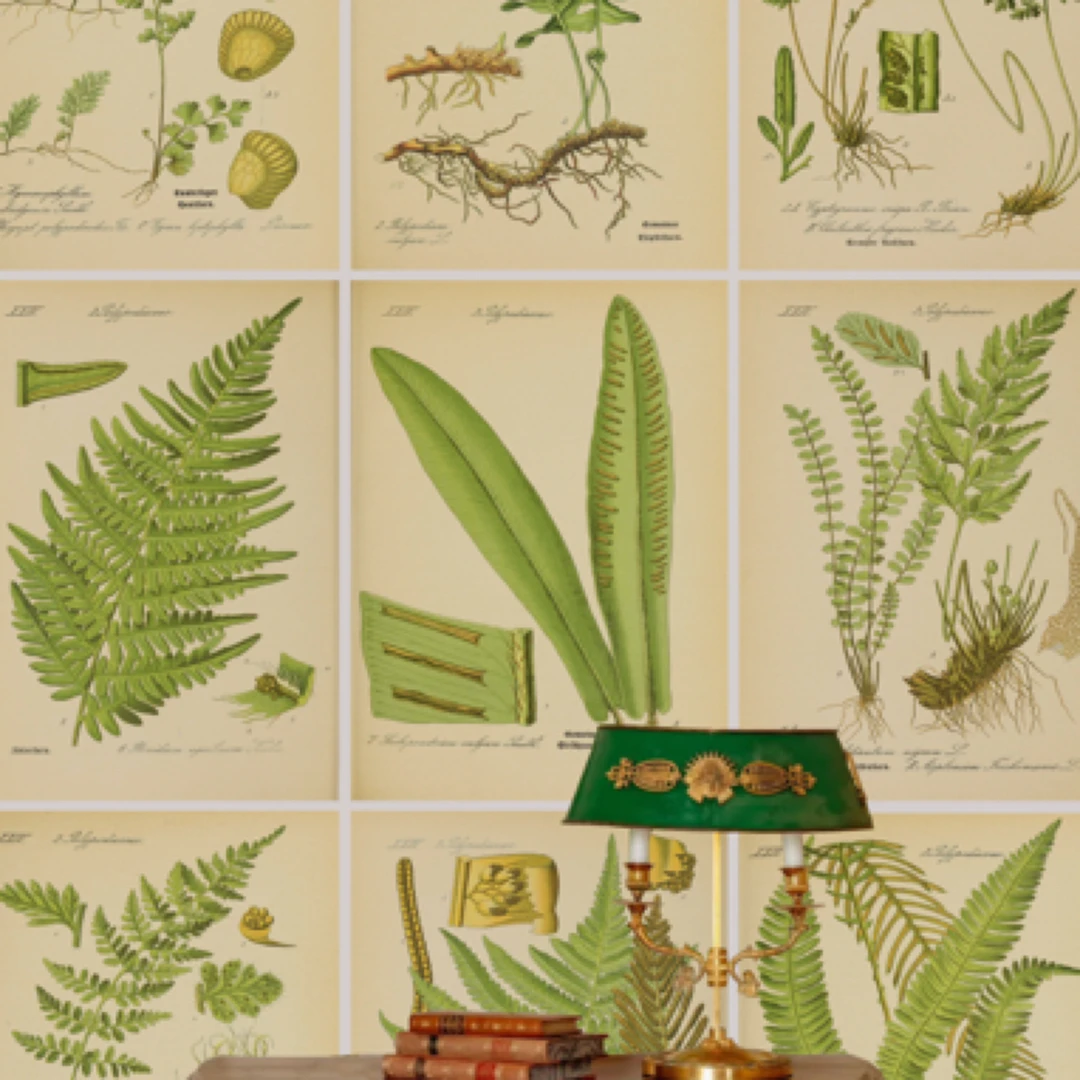 复古文艺墙纸房间卧室装饰 墙纸 壁纸