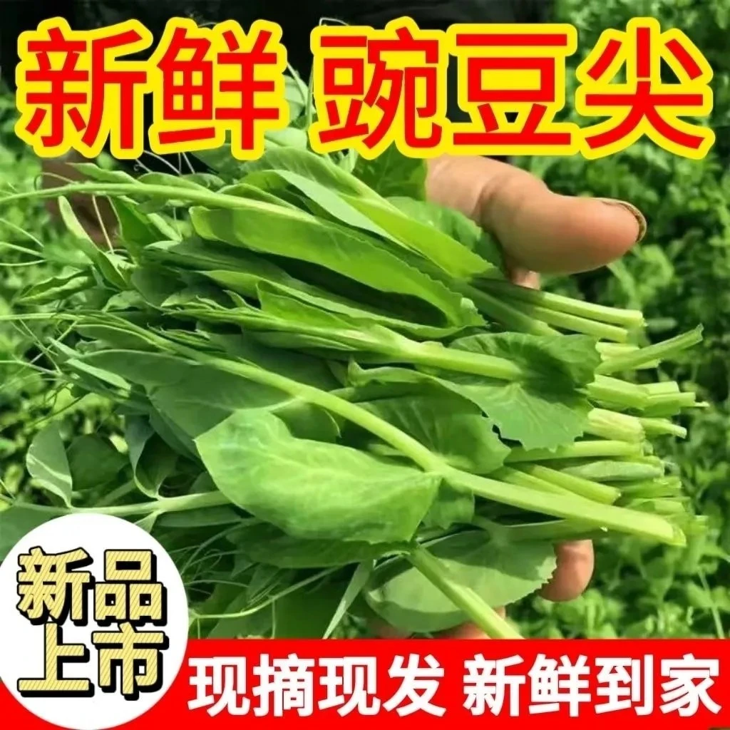 【顺丰】贵州高山农家自种豌豆尖