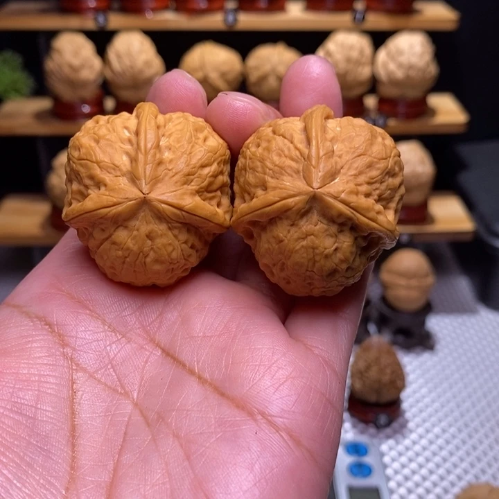 泉***木质类云铁寿桃三棱188号