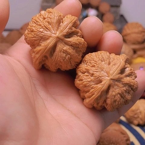 文玩核桃吊坠43大粗筋