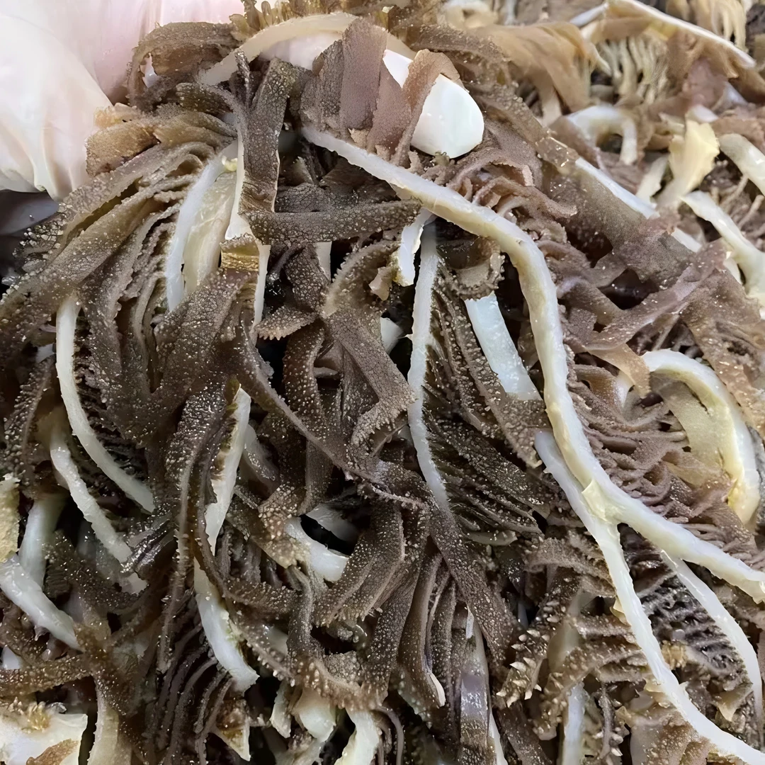 新鲜黑千层毛肚火锅麻辣烫爆款食材整只牛大肚固形物含量70%以上
