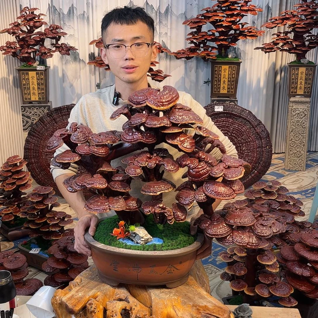 无花朵888888888888