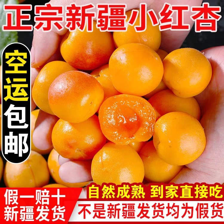 新疆小红杏新鲜水果吊干杏鲜杏当季整箱甜四团吊干杏杏子胜小白杏