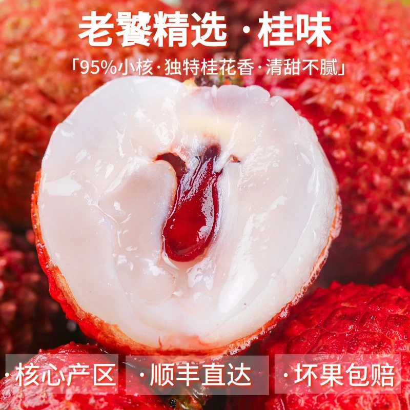 【荔争上游】新鲜桂味荔枝现摘现发顺丰新鲜直达爆汁清甜水果尝鲜装