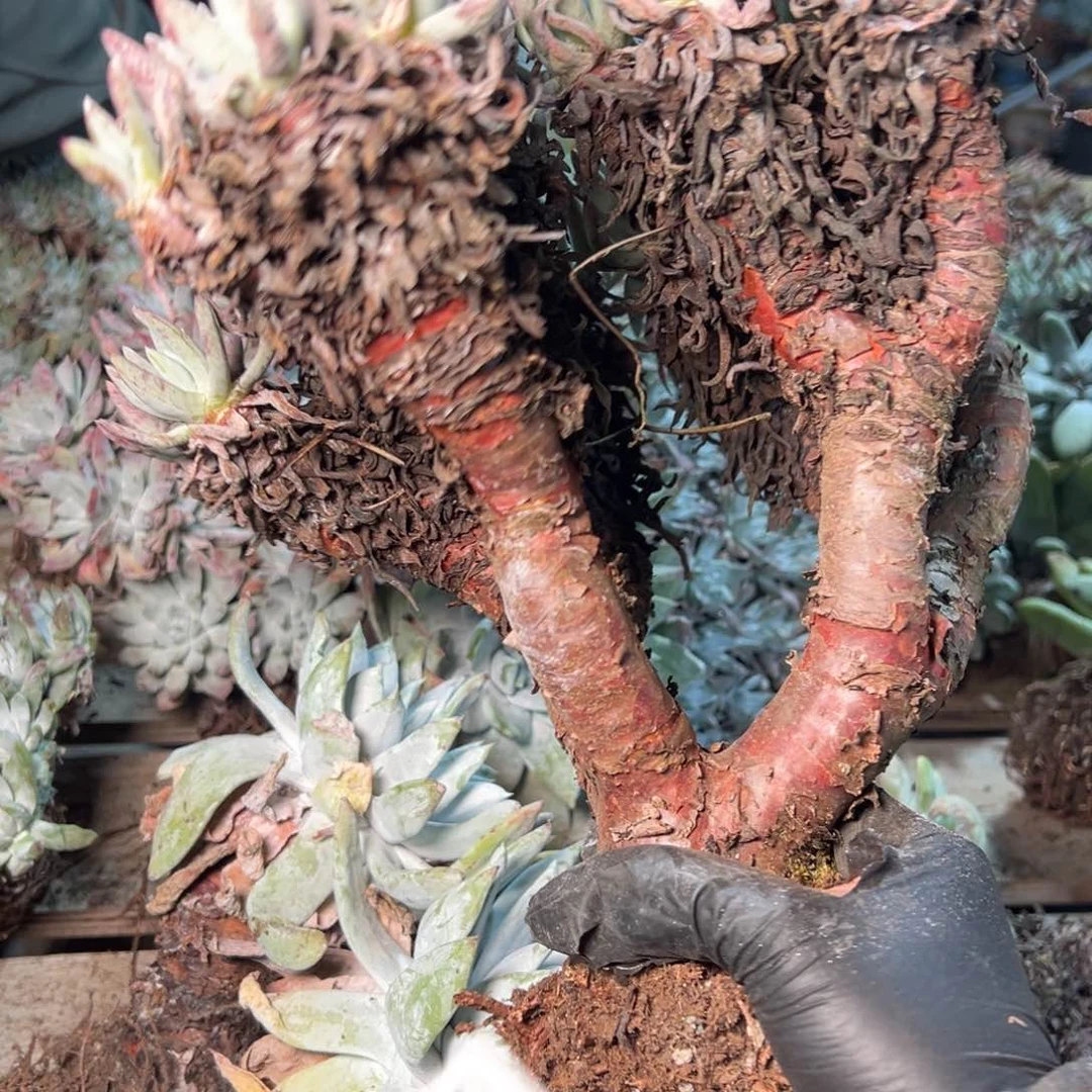 8733哈哈哈哈哈哈哈哈