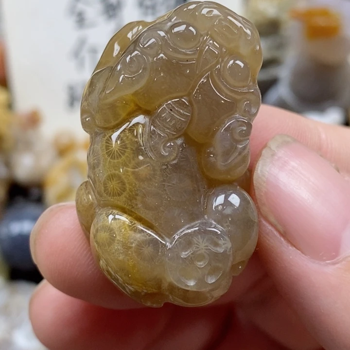 颈饰未镶嵌硅化珊瑚（珊瑚玉）