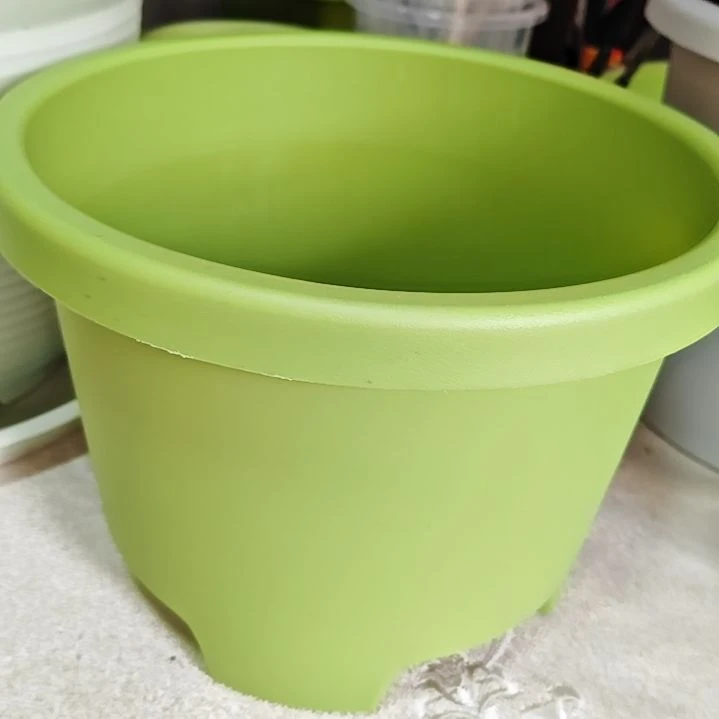 树脂球根三号外口径25.5，果绿无拖5个