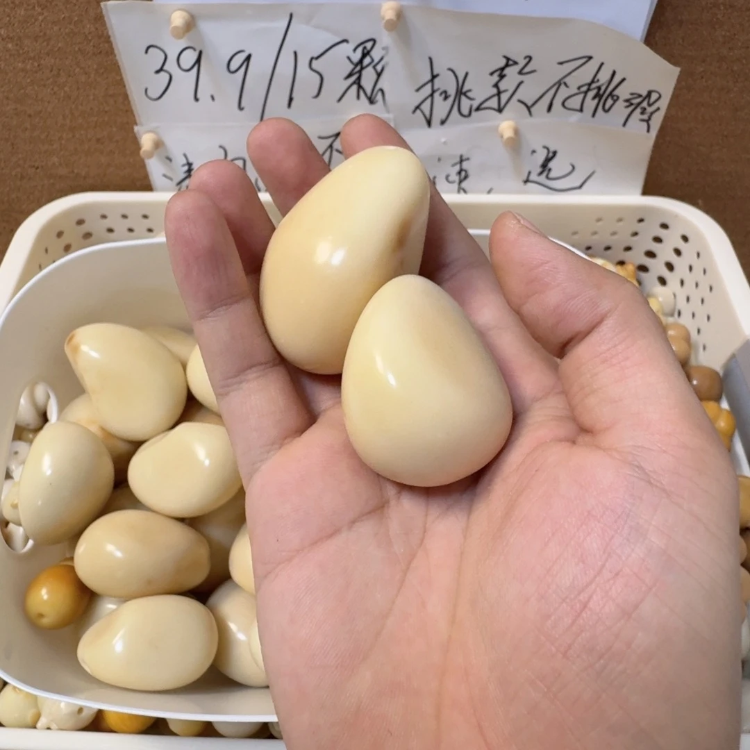 V***o菩提根/象牙果吊坠