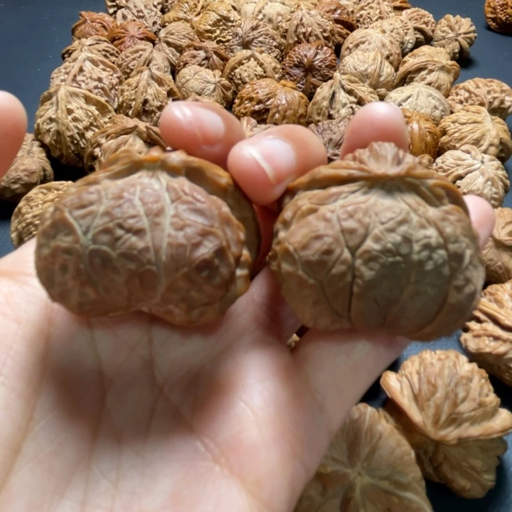 宫灯蛇头35尺寸核桃哈哈哈哈哈哈