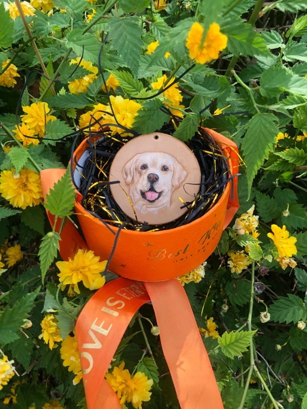 宠物基础皮雕定金