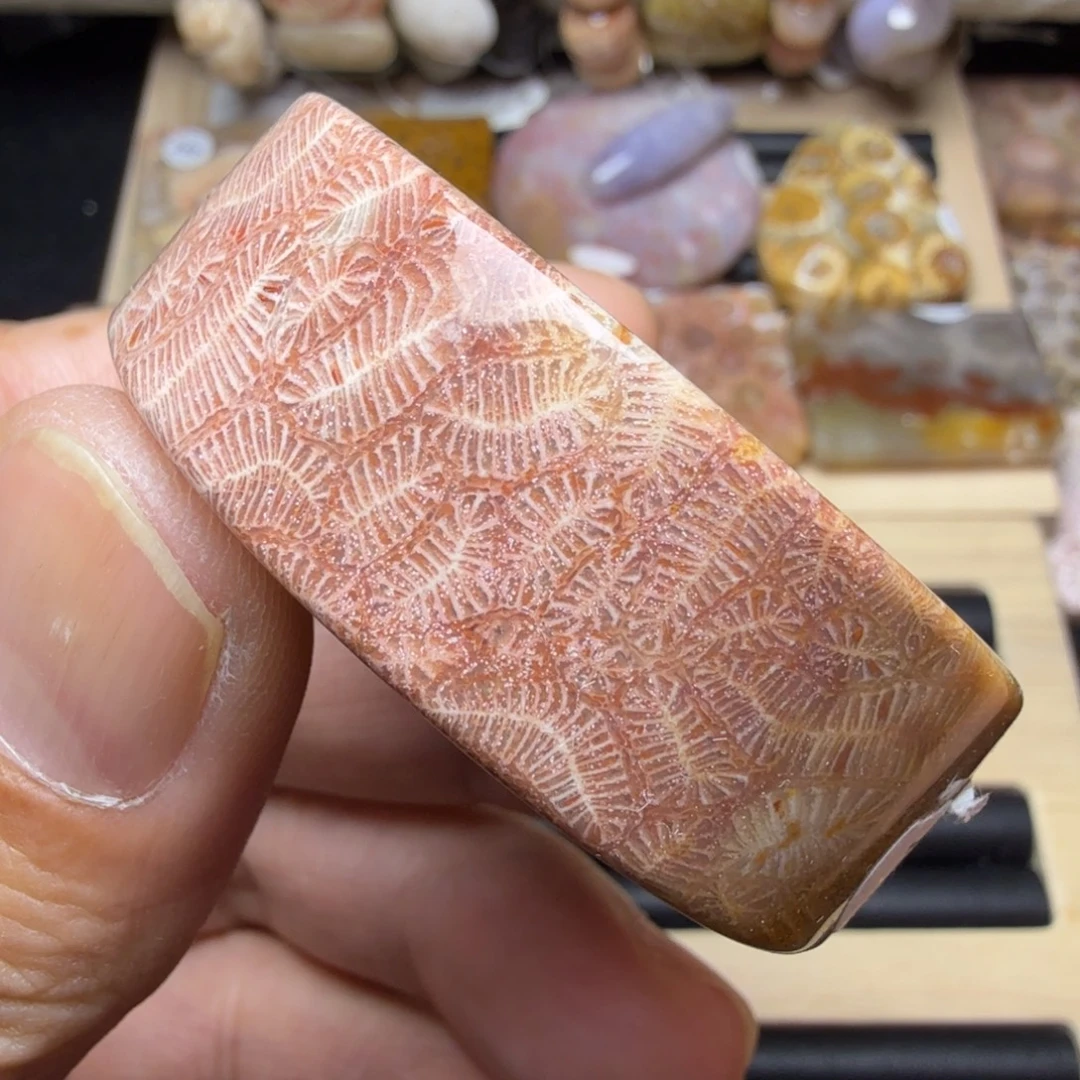 硅化玉未镶嵌手镯芯福利