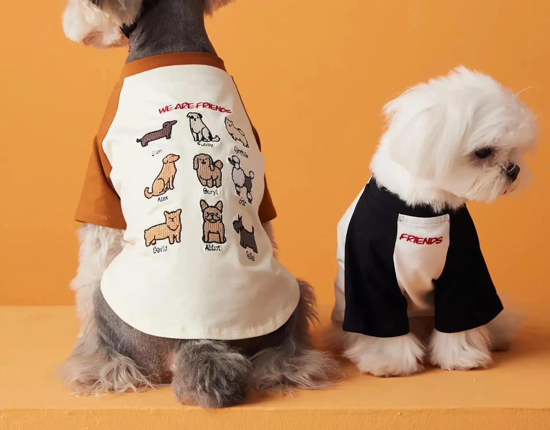 宠物衣服 直播过款 出口单 下单备注编号