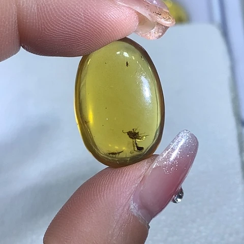 琥珀颈饰未镶嵌一珀多虫