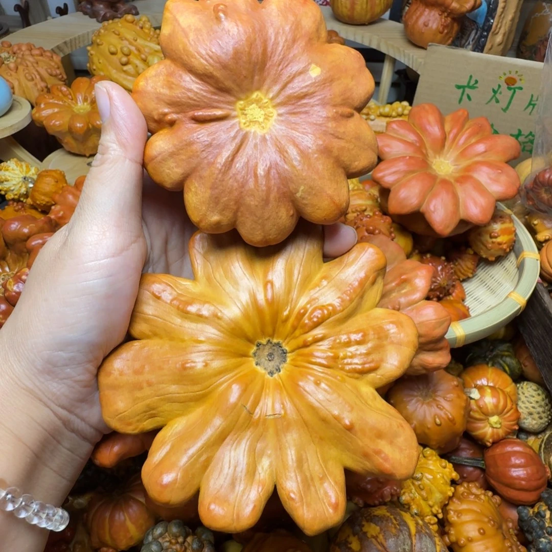 记***好特价葫芦不退不换