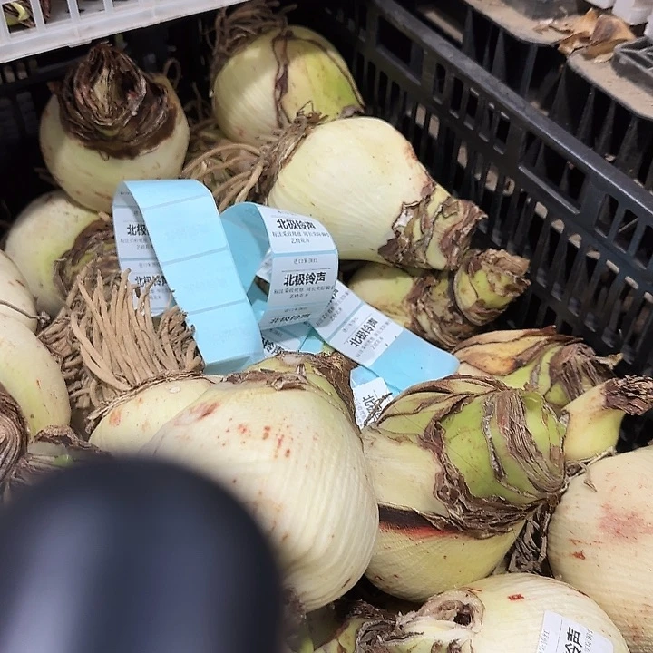 北极铃声丑球9公分福利开裂