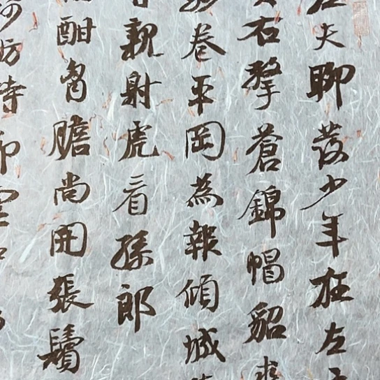 书法张建东老师书法作品