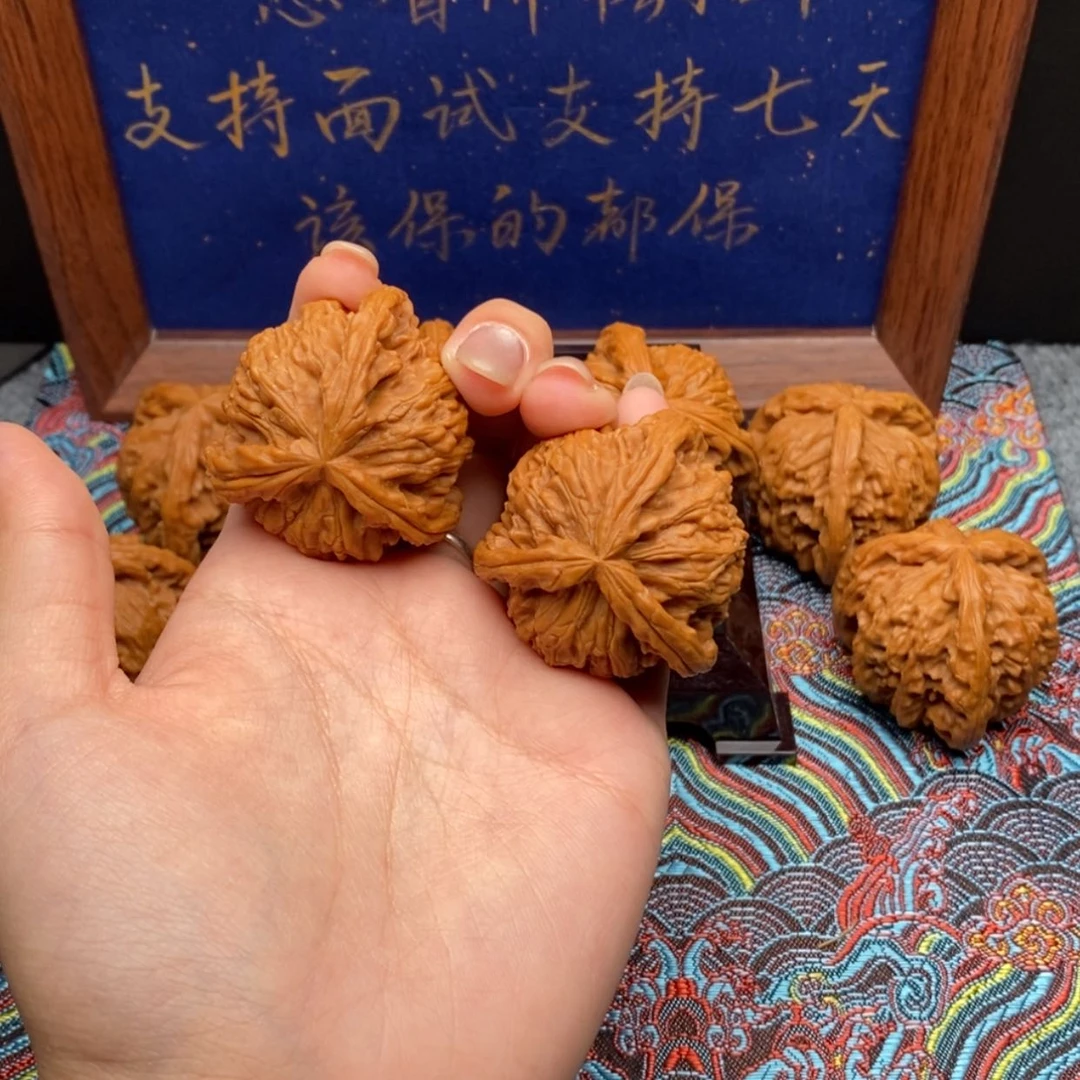 【闪购商品】吃****白狮