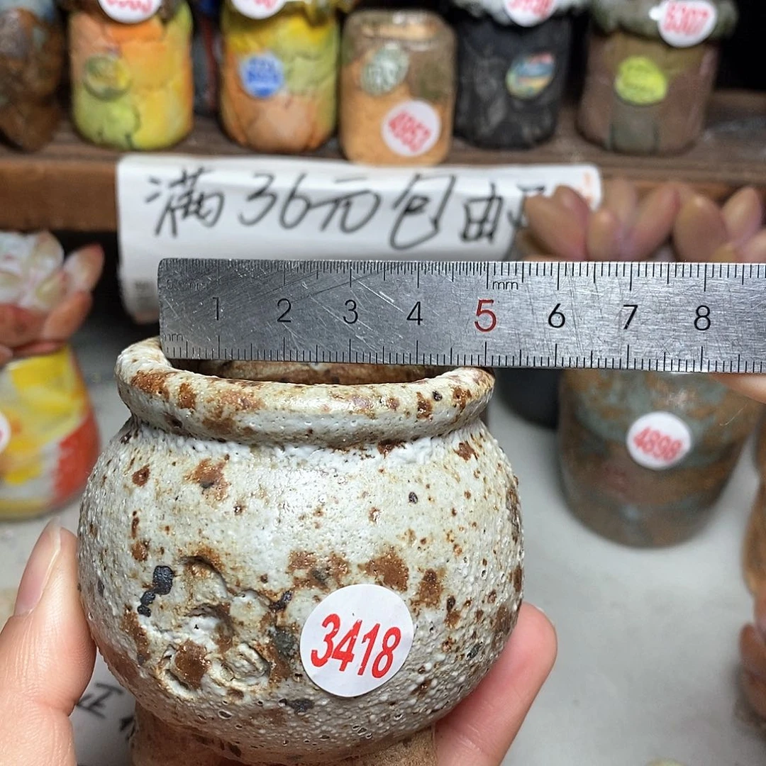 红陶拍5送一个小