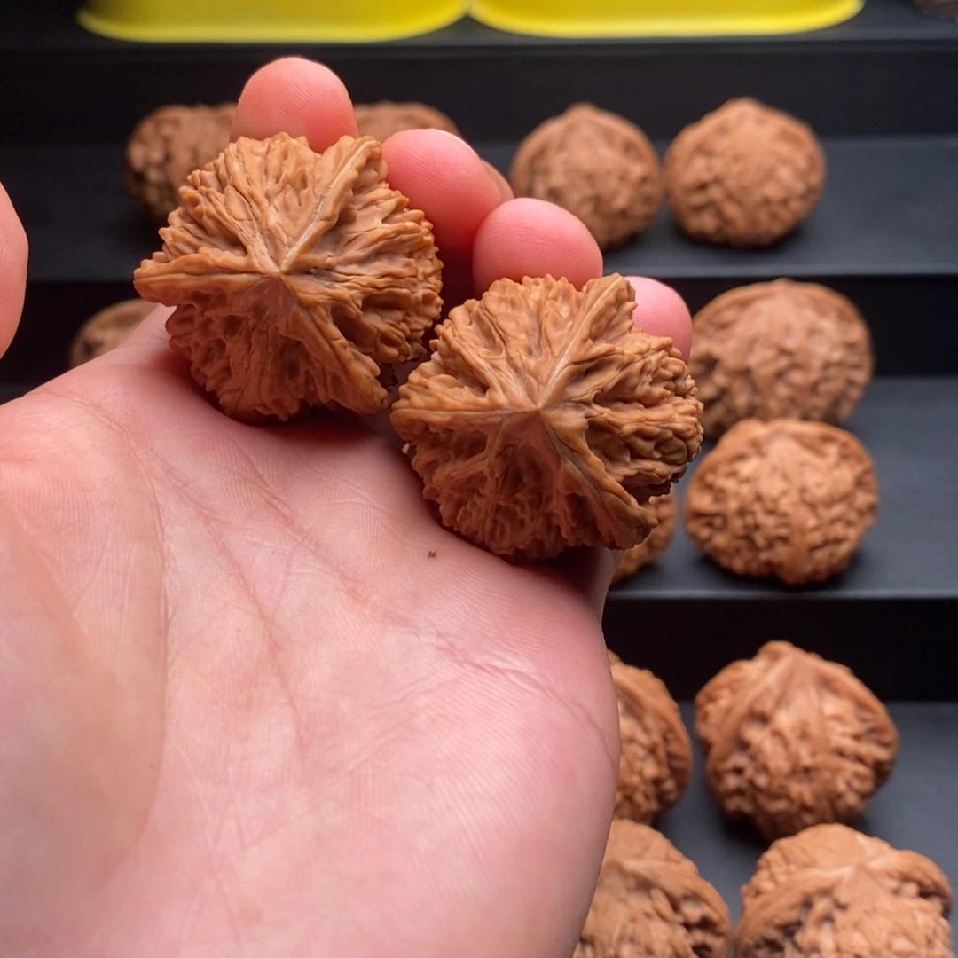 把件文玩核桃御龙球奔37