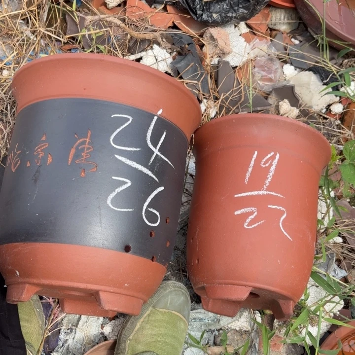紫砂花盆紫砂的花