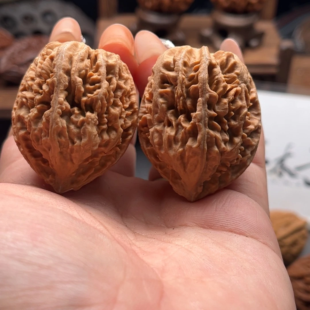 文玩核桃把件关东木子家楸大胖50