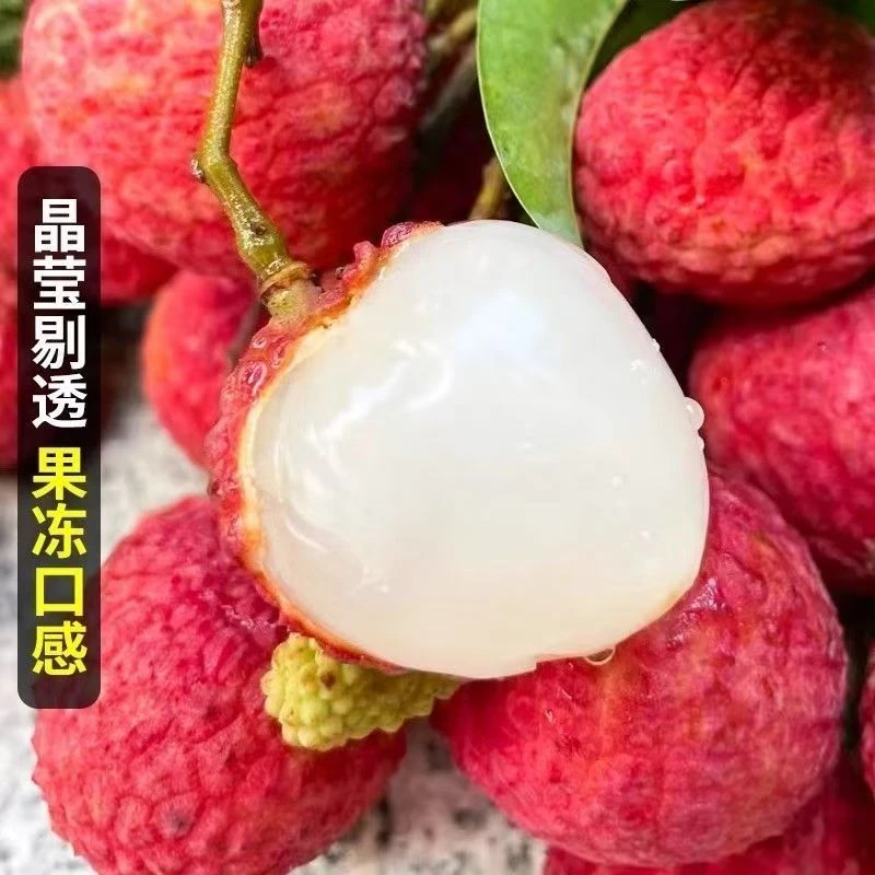 京东广东茂名高州时令水果荔枝糯米糍精选当季新鲜大中果包邮