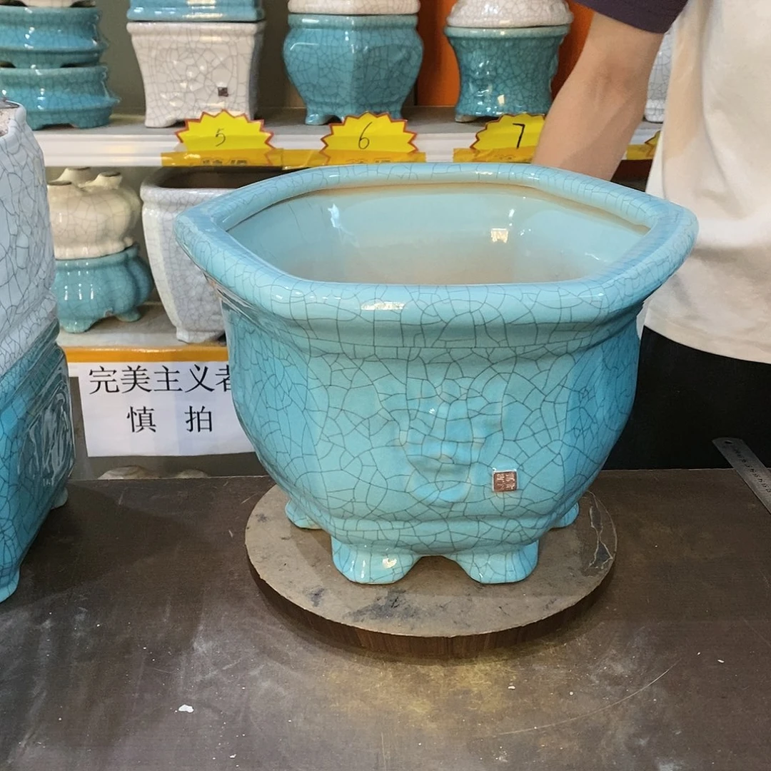 一**顺花盆花盆里的花都开了