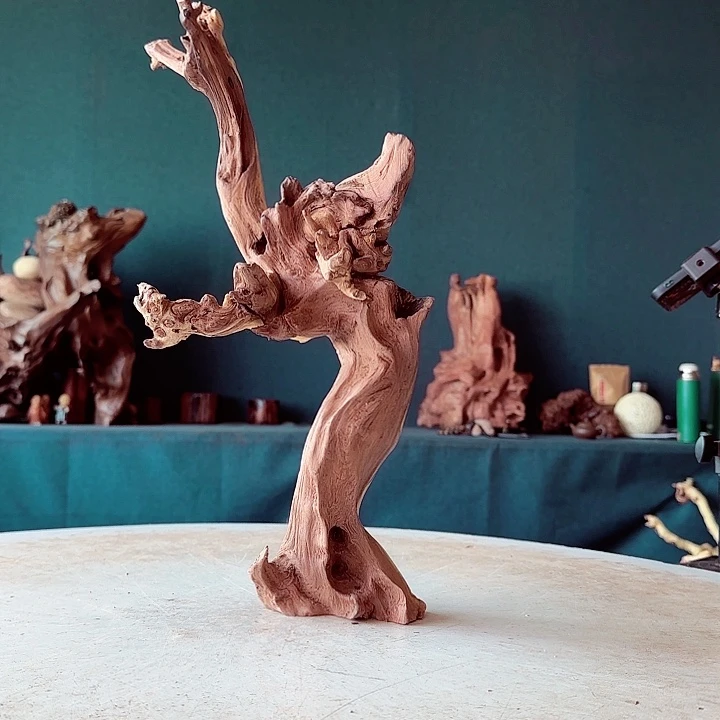 黑果木济*286金丝红木羊蹄甲半成品