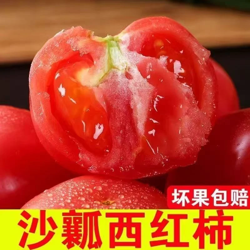 沙瓤西红柿沙粉柿子小时候的味道酸甜可口满籽不催熟{包邮} a