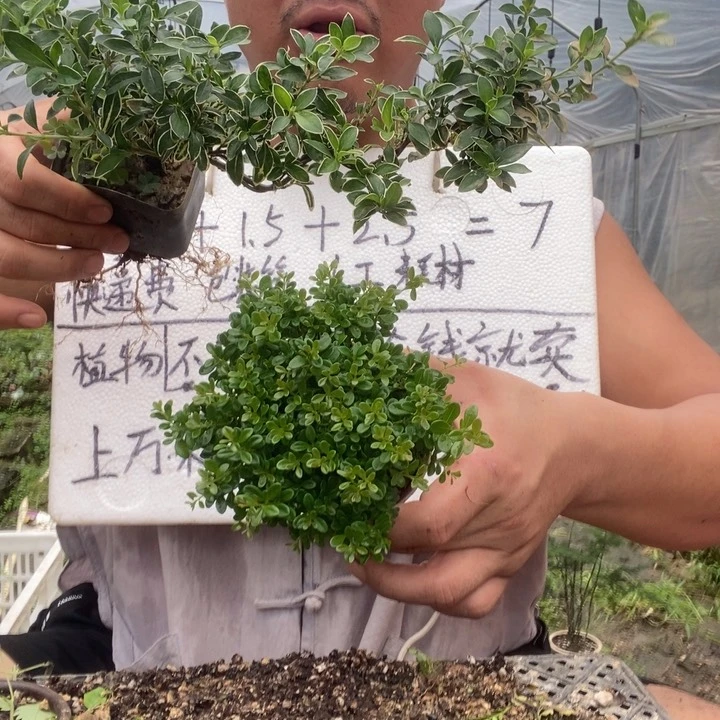 退款拉黑一物一拍35