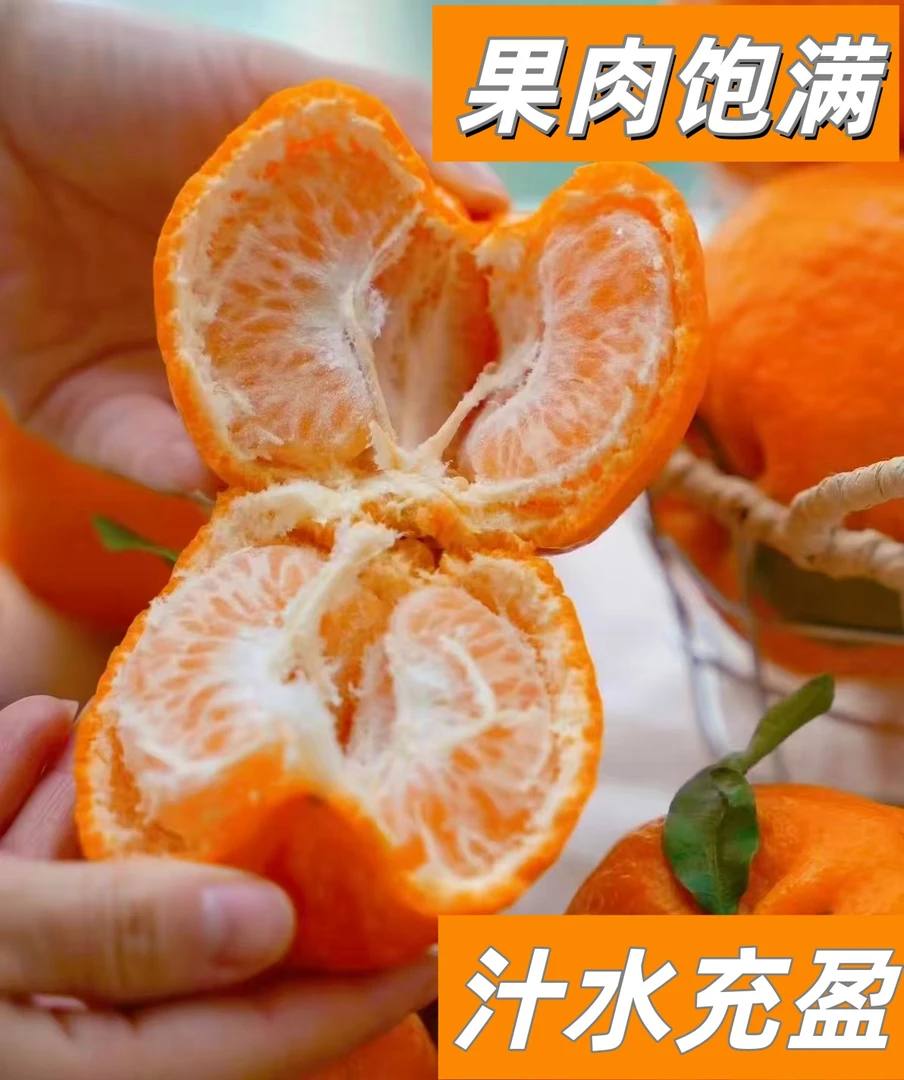 四川碰柑芦柑金沙江边老品种应季水果现摘现发汁水充足