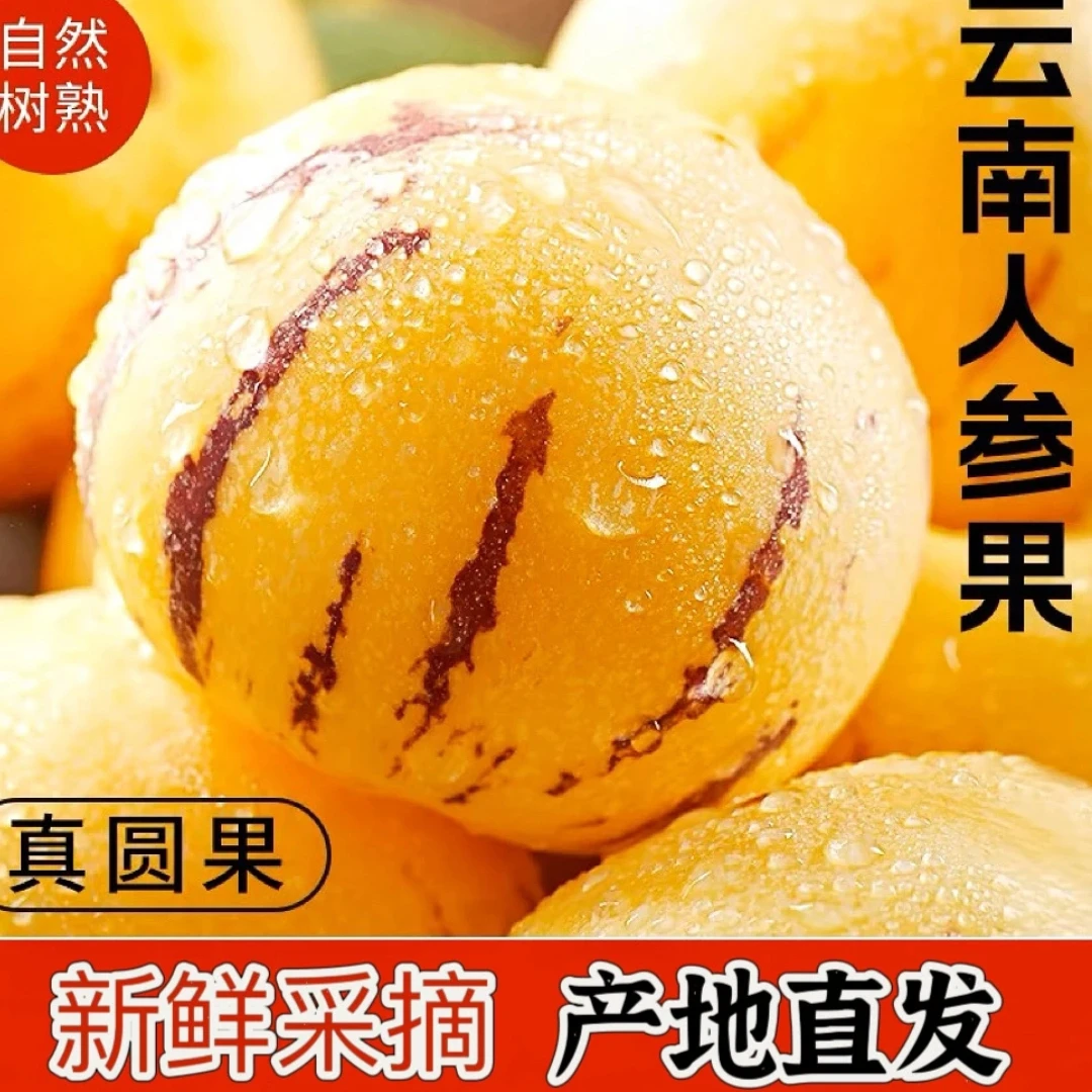 云南石林人参果应季果黄肉圆果新鲜树上熟清甜多汁水果