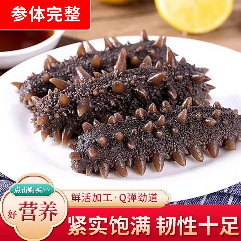 包邮滋补特产开袋辽参礼盒鲜食海参正宗辽参海参新鲜