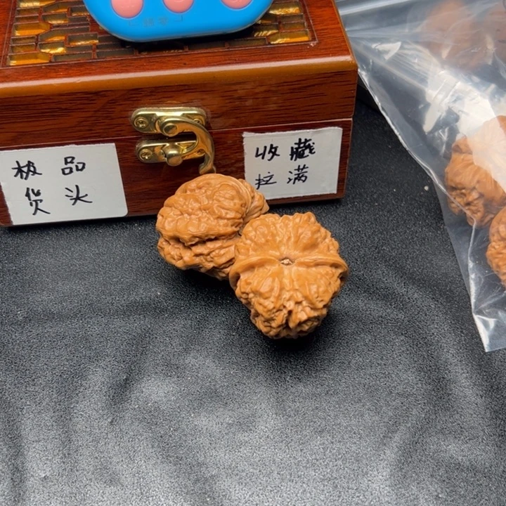佐***佐55555555555555555555555