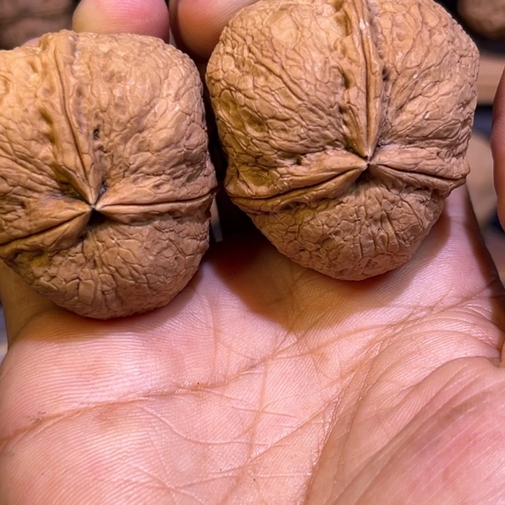 把件文玩核桃红旺云铁40号40mm