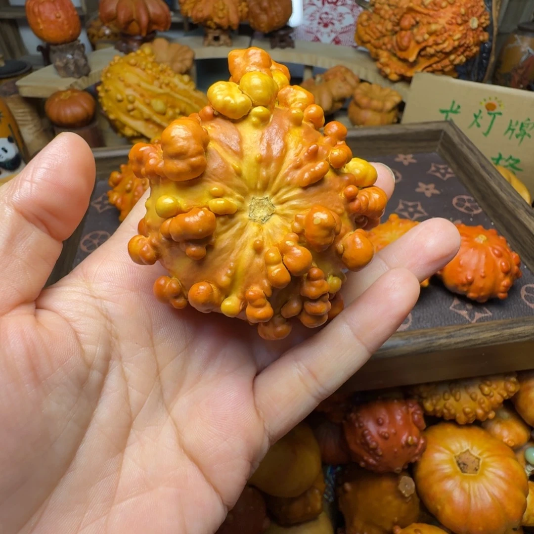 在***.特价葫芦不退不换