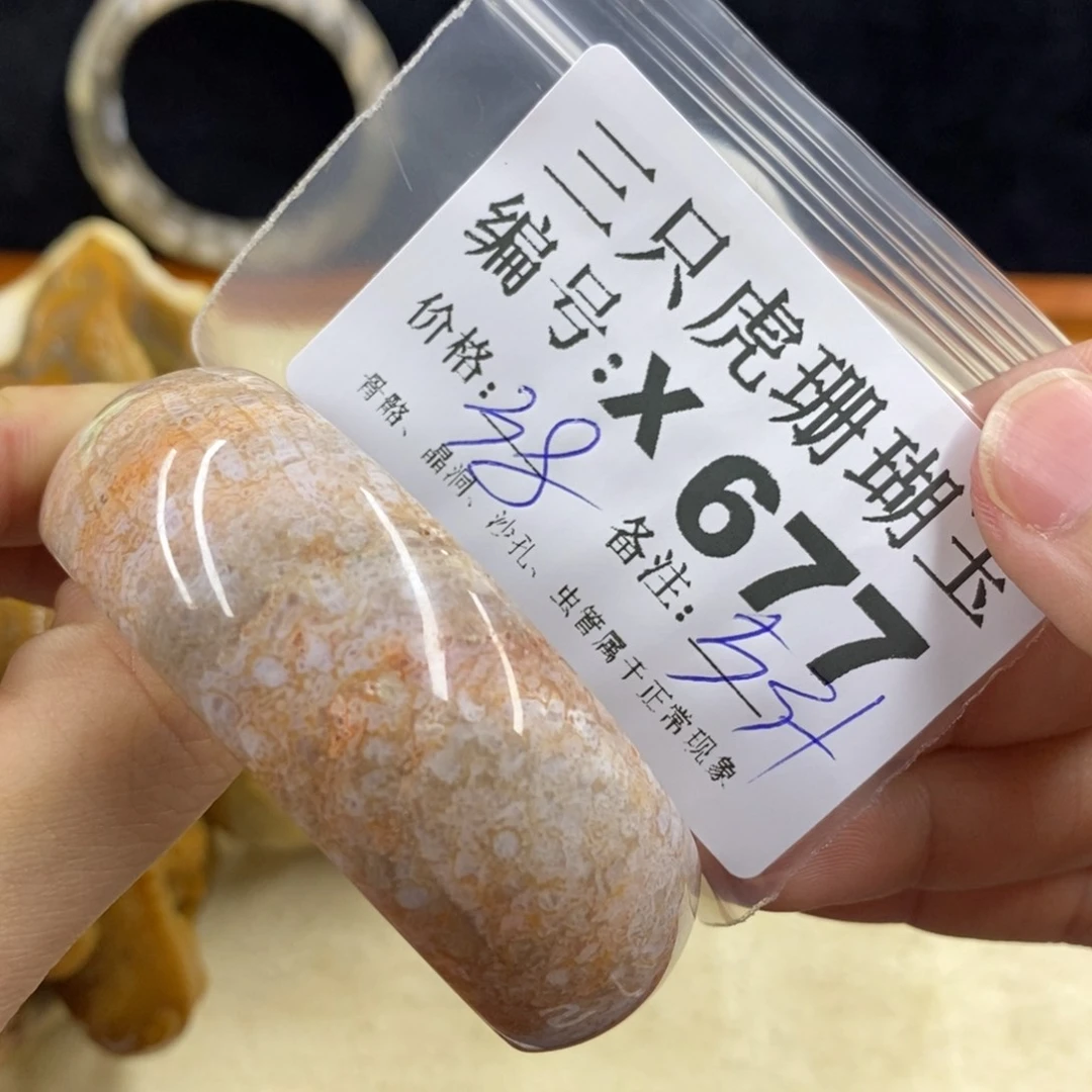 硅化珊瑚（珊瑚玉）1未镶嵌D*M