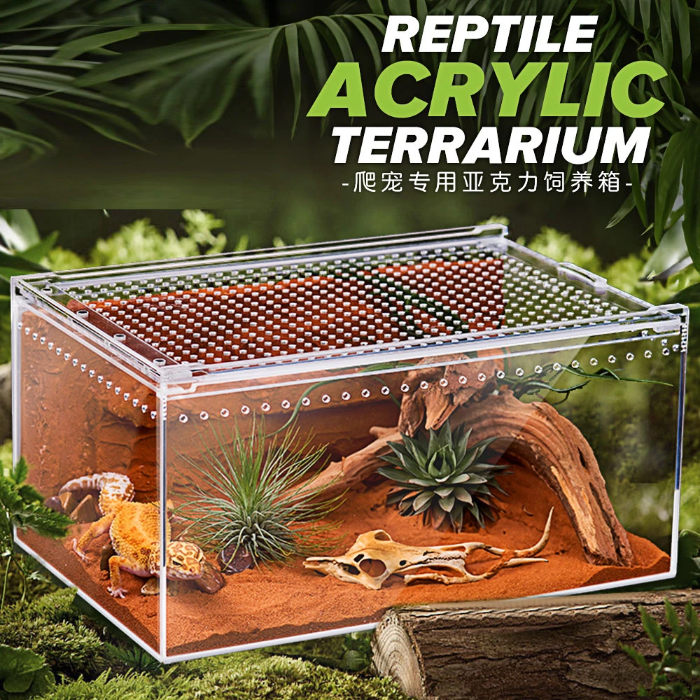 爬宠亚克力饲养盒爬虫宠物守宫箱蜗牛蜥蜴角蛙蛇蜘蛛缸