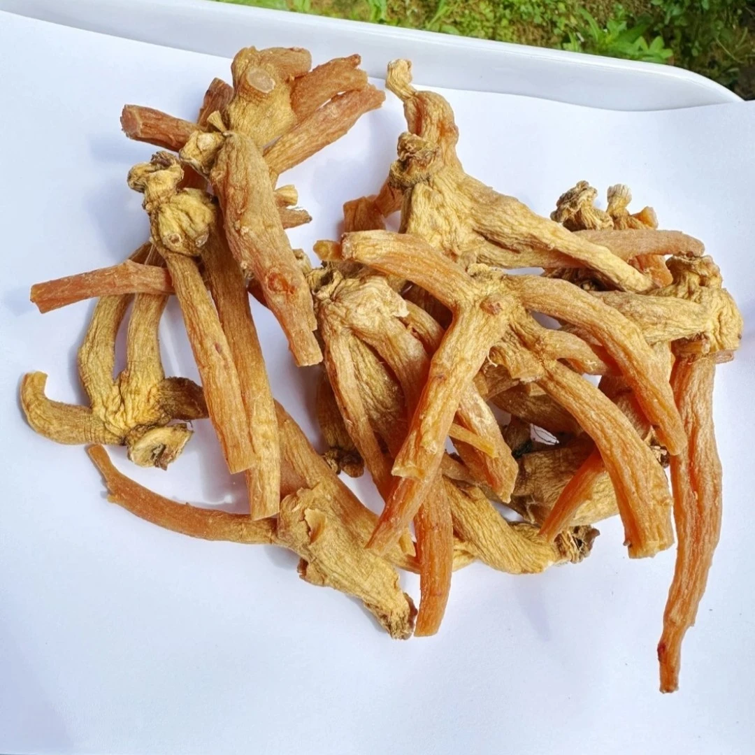 【藏地拉姆】高原 龙-爪-参精品好货