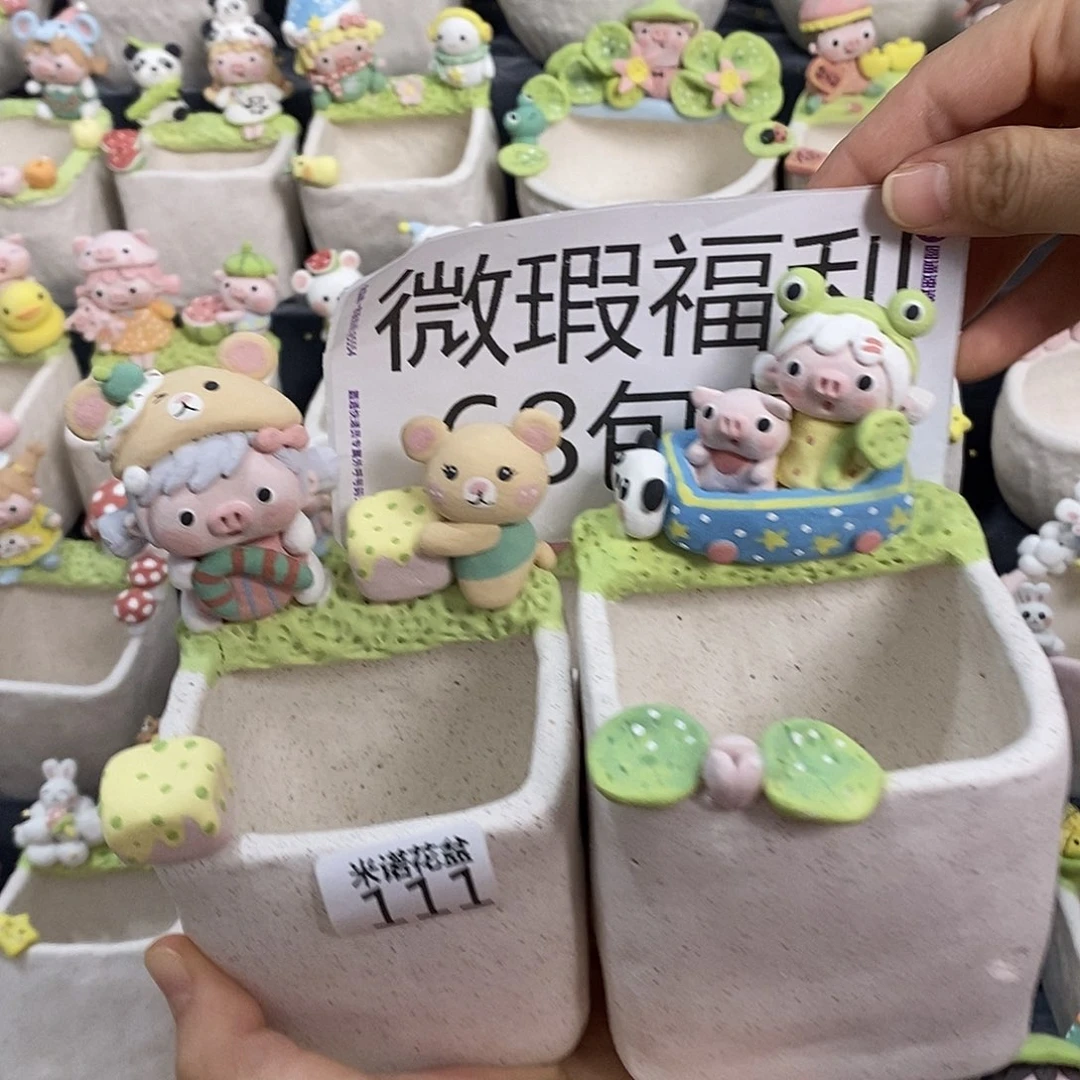 米诺多肉植物花盆111