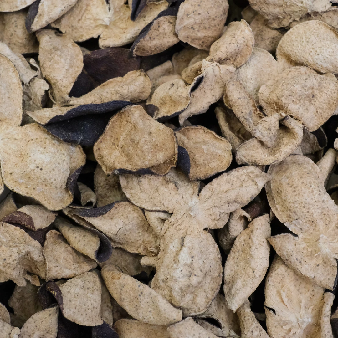 【臻玉严选】2013年 梅江塞口围 茶枝柑大红皮 新会陈皮干仓储存