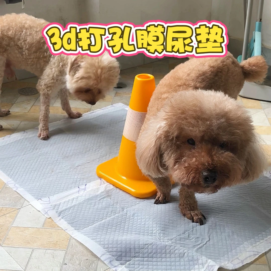 3D打孔膜宠物猫狗竹炭加厚除臭吸水尿不湿训导厕所尿垫