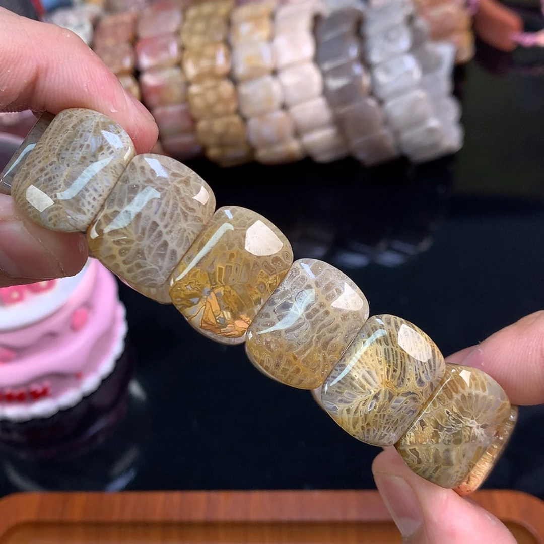 【闪购商品】颈饰未镶嵌硅化珊瑚（珊瑚玉）10号龙骨