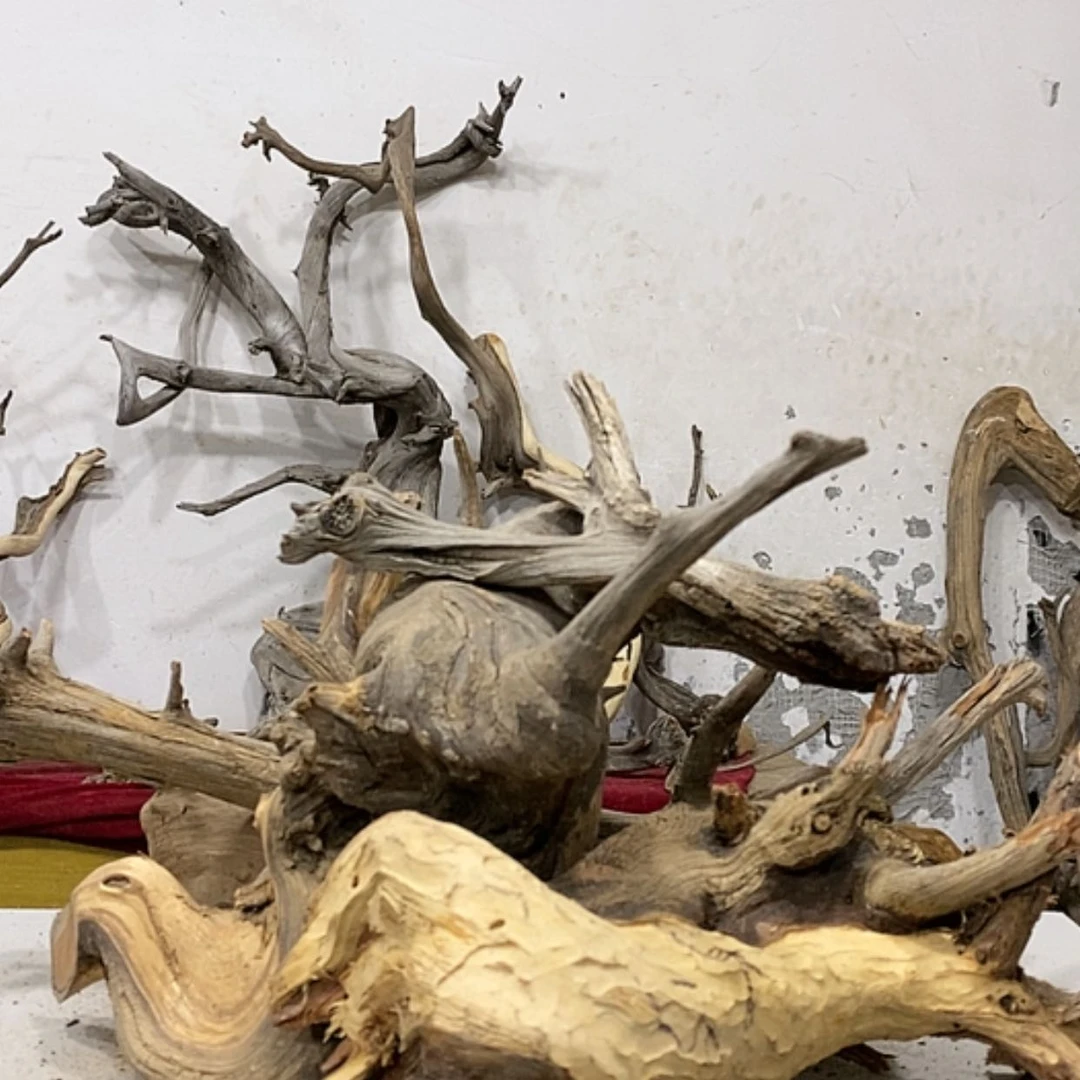 【闪购商品】柏木展****）我们都是好孩子