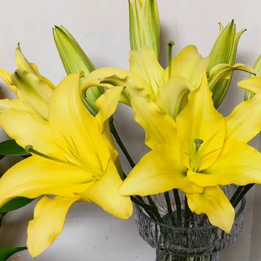 【盼盼鲜花】黄色系香水百合 鲜花两单起包邮 云南鲜花