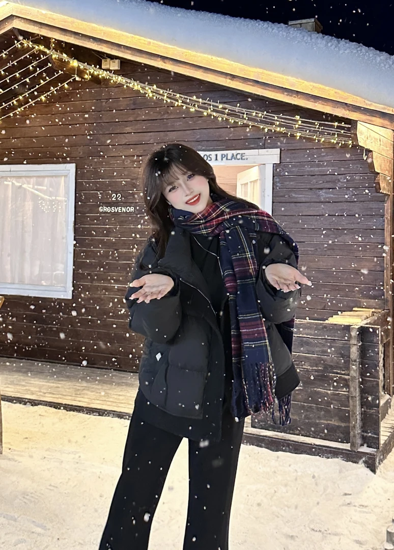 【胖丫丫】【小暖炉】韩系简约立领冬季设计感小众斜拉链外套