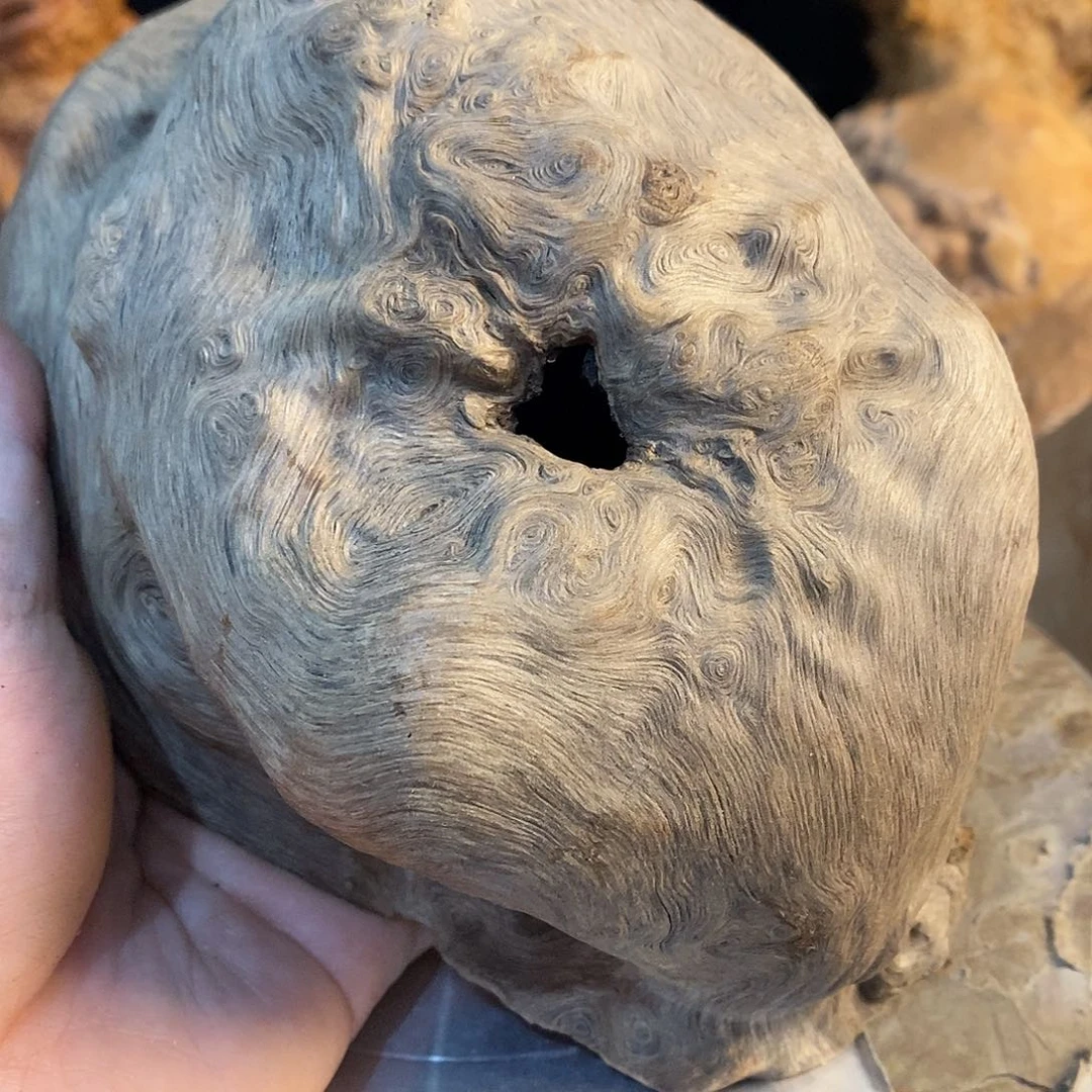 长***人荔枝木荔枝木原料