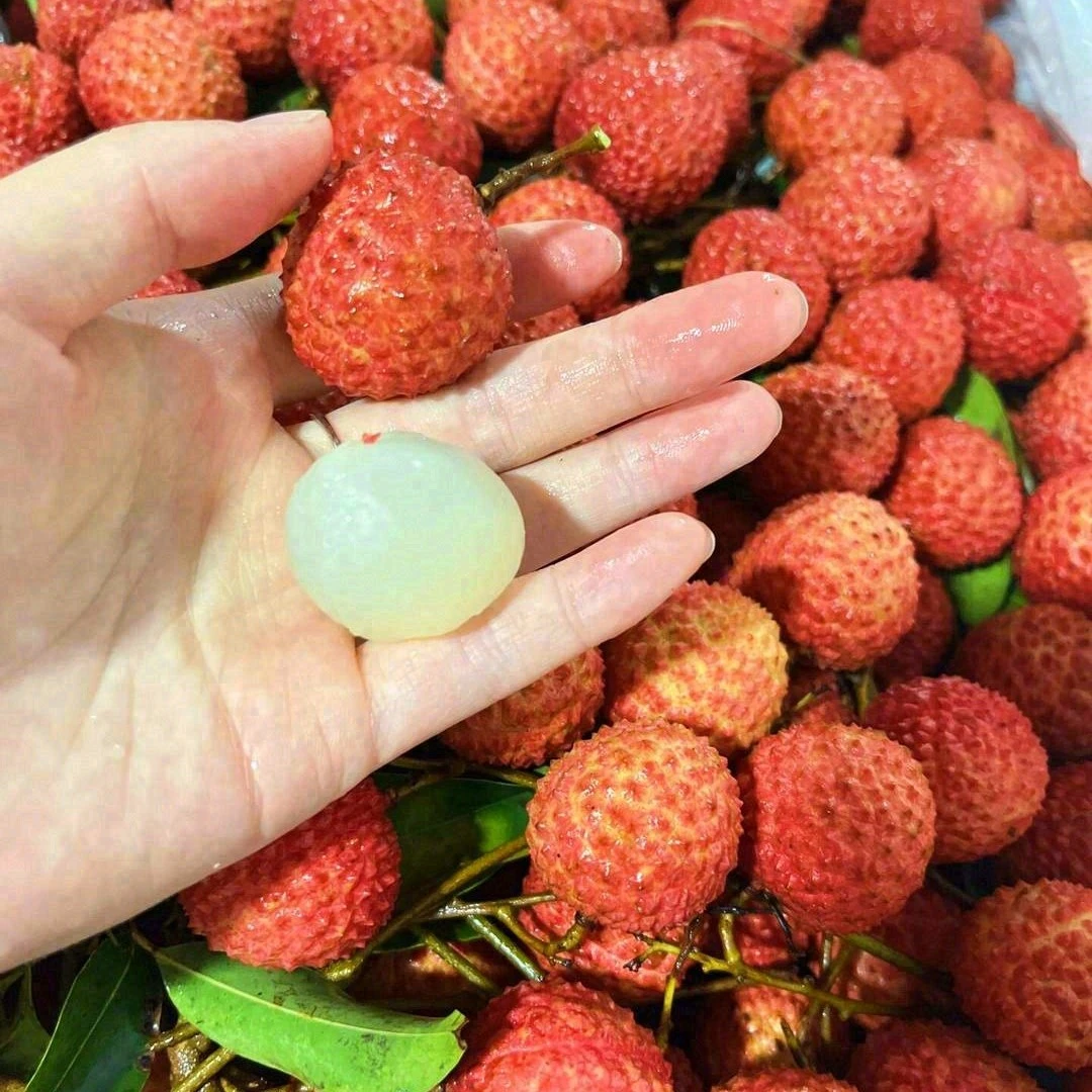 桂味荔枝/超甜荔枝2斤盒5斤盒广东省